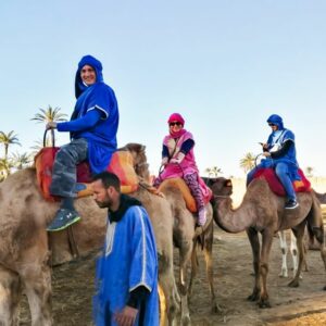 Balade à dos de chameau à travers la Palmeraie de Marrakech